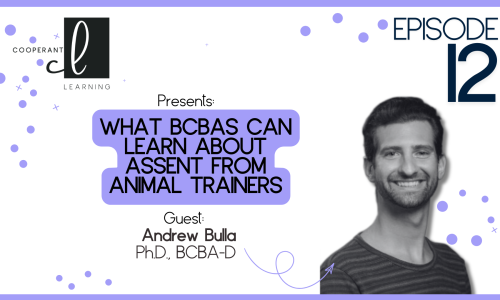 ep12 Andrew b landscape